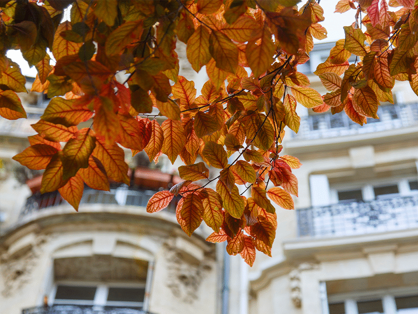 autumn hotel