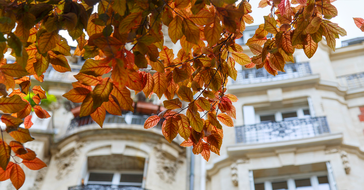 autumn hotel
